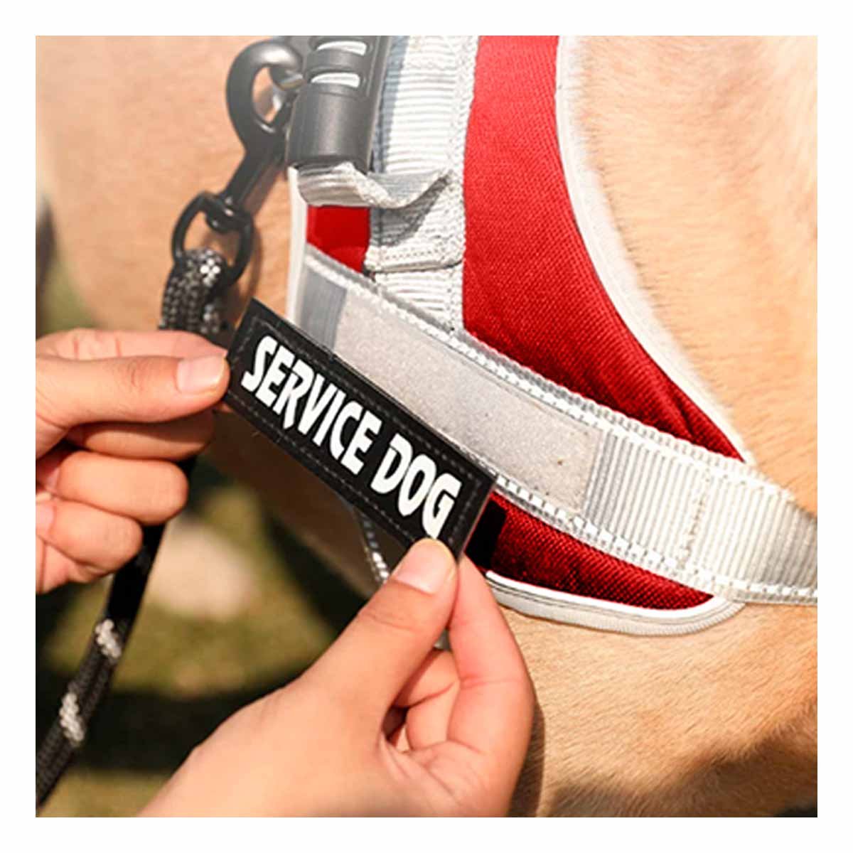 PACK6 PECHERA CON ASA FIRME PARA PERRO SERVICE DOG TALLA M FUCSIA Y+REGALO STICKER - 2