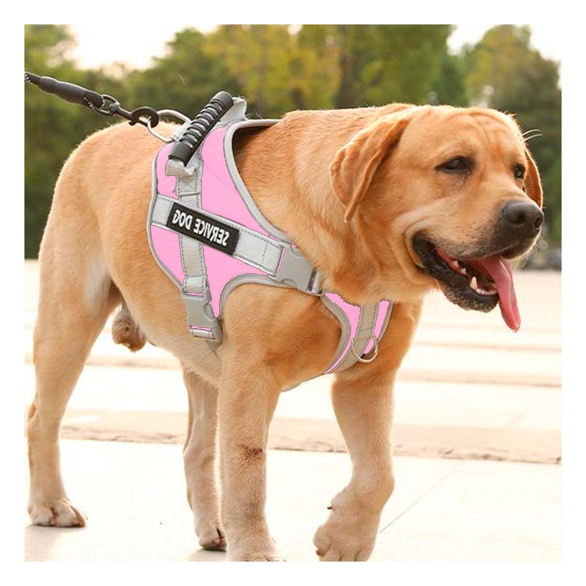 PACK6 PECHERA CON ASA FIRME PARA PERRO SERVICE DOG TALLA M ROSADO CLARO Y+REGALO STICKER - 3