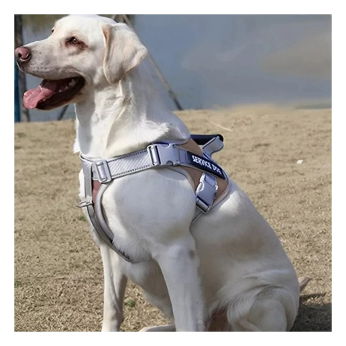HARNESS DE CONTROL CON ASA TIPO CHALECO PARA PERRO SERVICE DOG TALLA M MARRON Y+LIGAS REGALO - 2