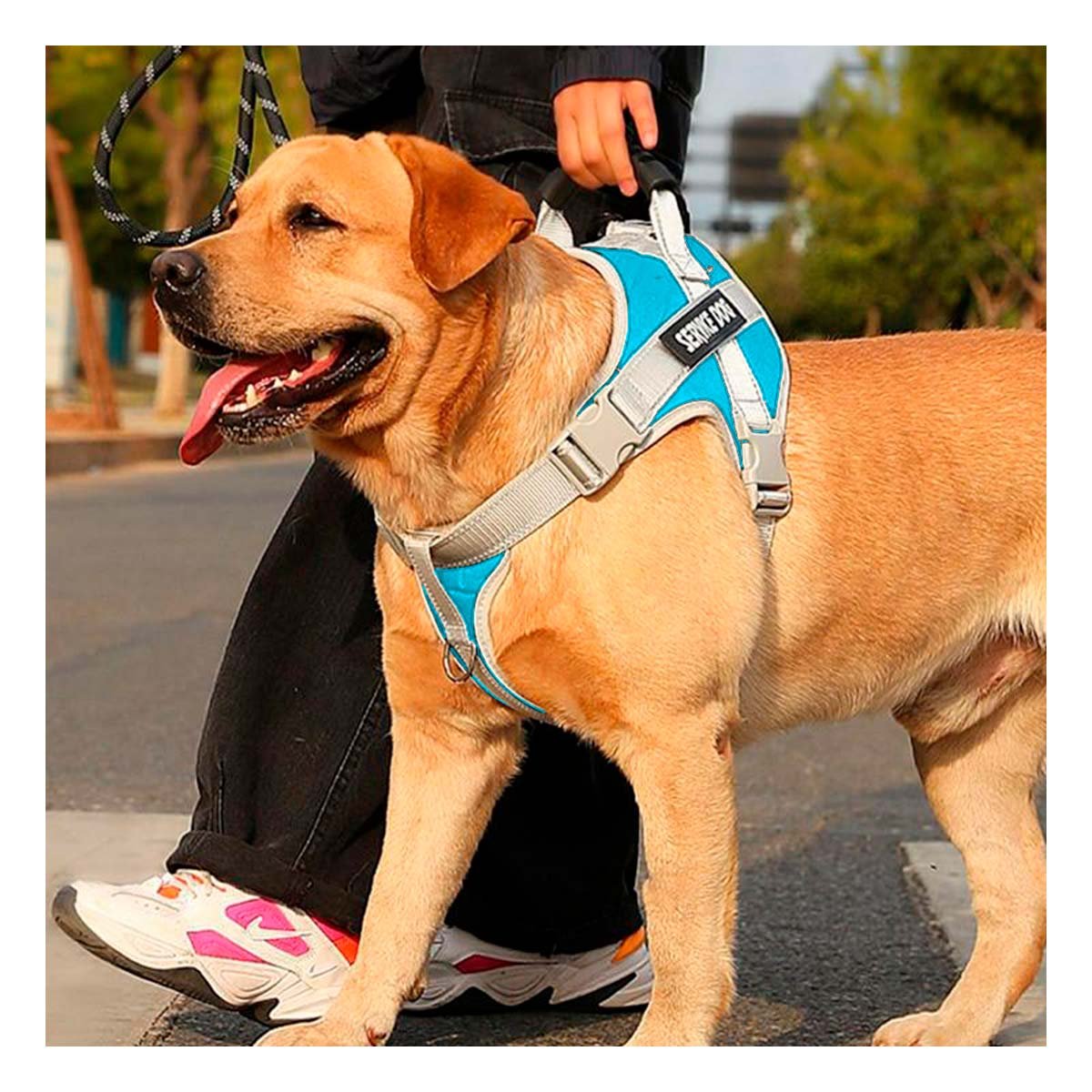 PECHERA TIPO CHALECO CON ASA PARA PERRO SERVICE DOG TALLA M TURQUEZA Y+PAPEL REGALO - 3
