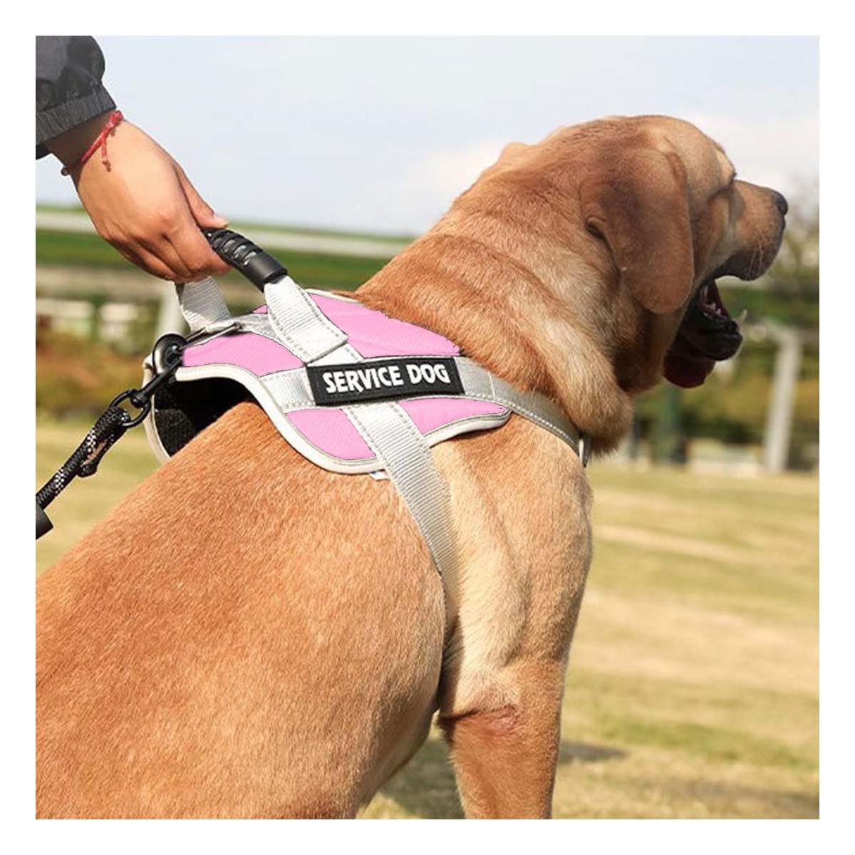 PECHERA TIPO CHALECO CON ASA PARA PERRO SERVICE DOG TALLA M ROSADO CLARO Y+PAPEL REGALO - 1