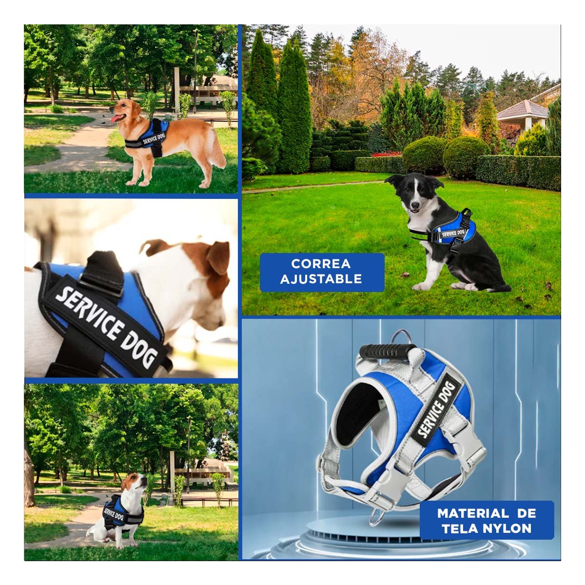 PACK2 ARNES CON ASA DE ENTRENAMIENTO PARA PERRO SERVICE DOG TALLA M AZUL Y+PAPEL REGALO - 3