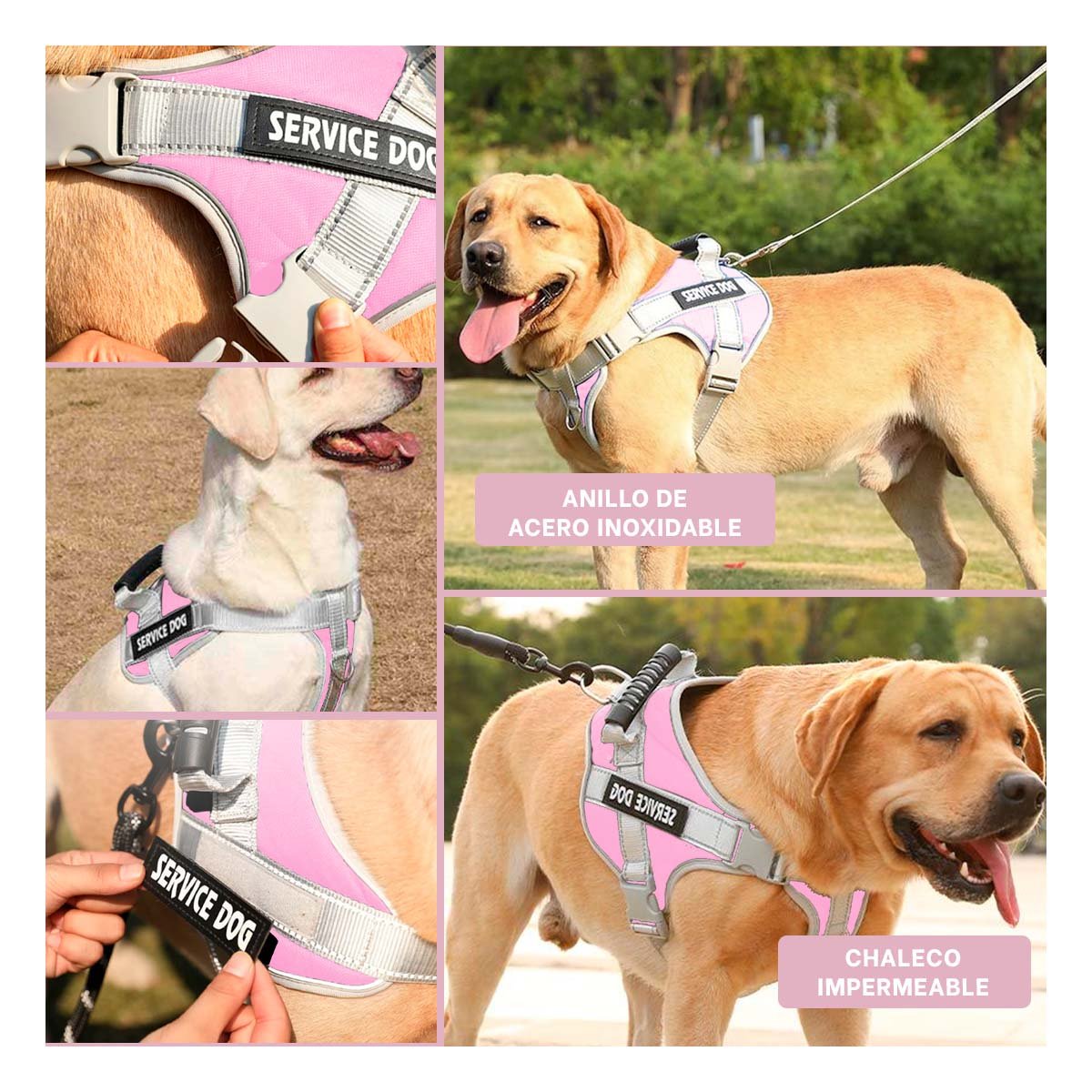 PACK2 ARNES CON ASA DE ENTRENAMIENTO PARA PERRO SERVICE DOG TALLA M ROSADO CLARO Y+PAPEL REGALO - 3