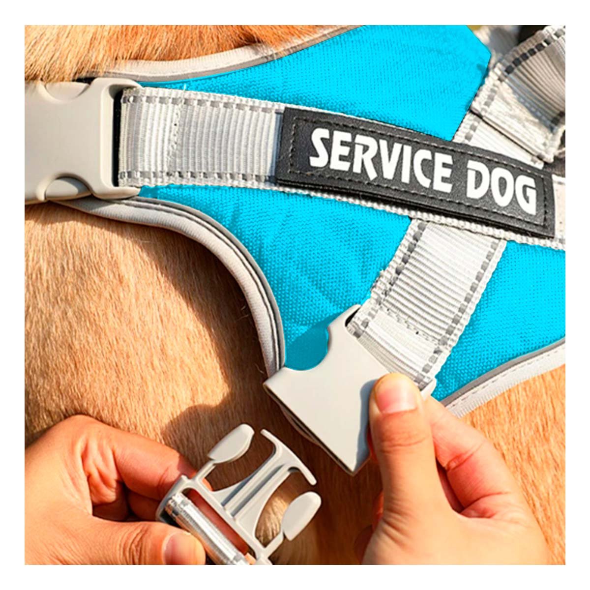 PACK6 PECHERA CON ASA FIRME PARA PERRO SERVICE DOG TALLA M TURQUEZA Y+REGALO STICKER - 1