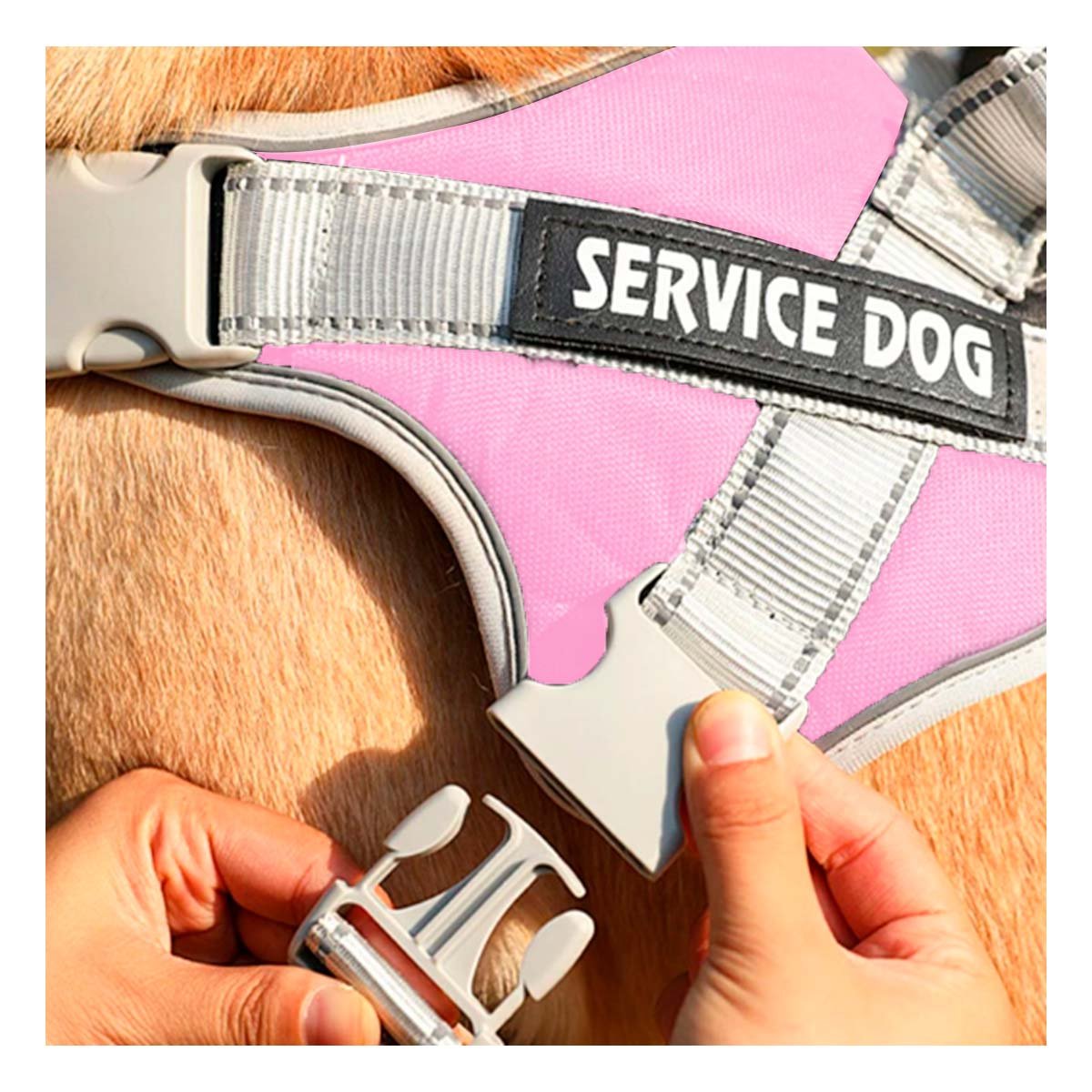 PACK4 PECHERA REFORZADA CON ASA PARA PERRO SERVICE DOG TALLA M ROSADO CLARO Y+PAPEL REGALO - 2
