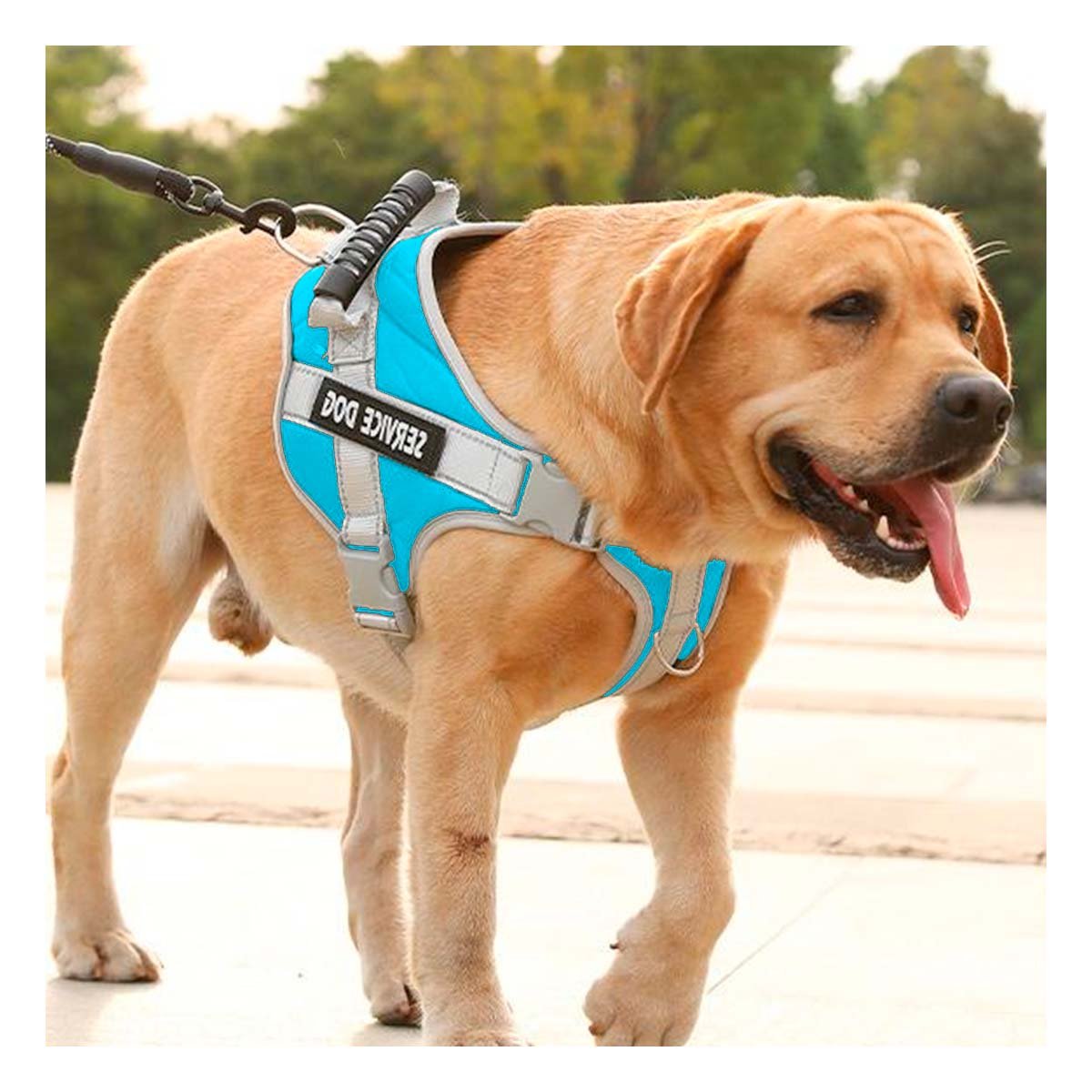 PACK6 CHALECO TIPO ARNES CON ASA PARA PERRO SERVICE DOG TALLA M TURQUEZA Y+PAPEL REGALO - 2