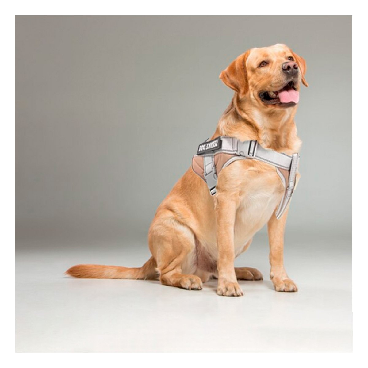 CHALECO CON ASA AJUSTABLE PARA PERRO SERVICE DOG TALLA M MARRON Y+POST IT - 2