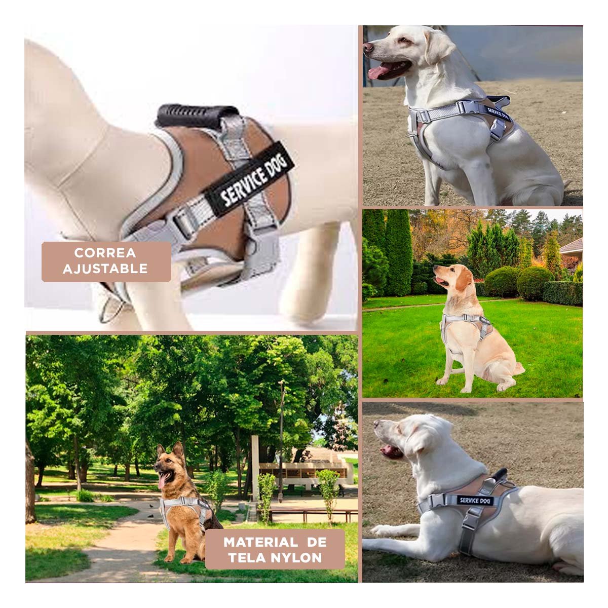CHALECO CON ASA AJUSTABLE PARA PERRO SERVICE DOG TALLA M MARRON Y+POST IT - 5