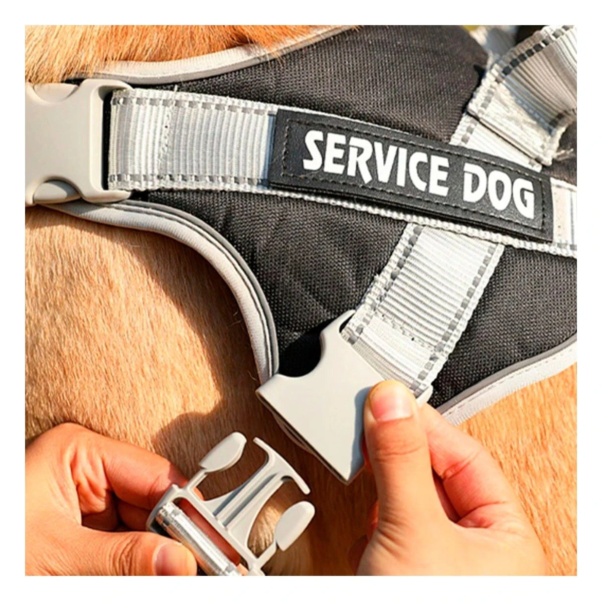 HARNESS DE CONTROL CON ASA TIPO CHALECO PARA PERRO SERVICE DOG TALLA M NEGRO Y+LIGAS REGALO - 1
