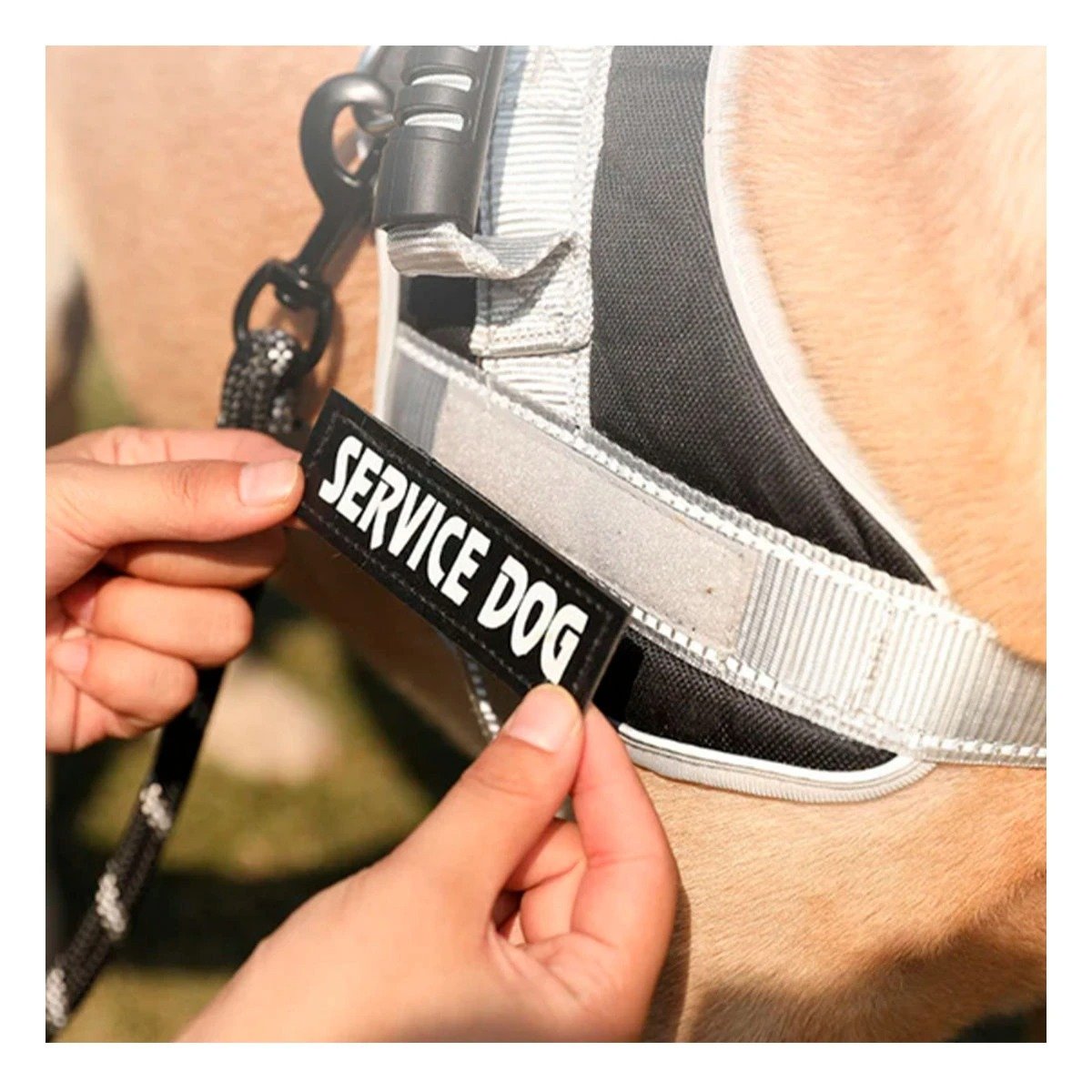 HARNESS DE CONTROL CON ASA TIPO CHALECO PARA PERRO SERVICE DOG TALLA M NEGRO Y+LIGAS REGALO - 2