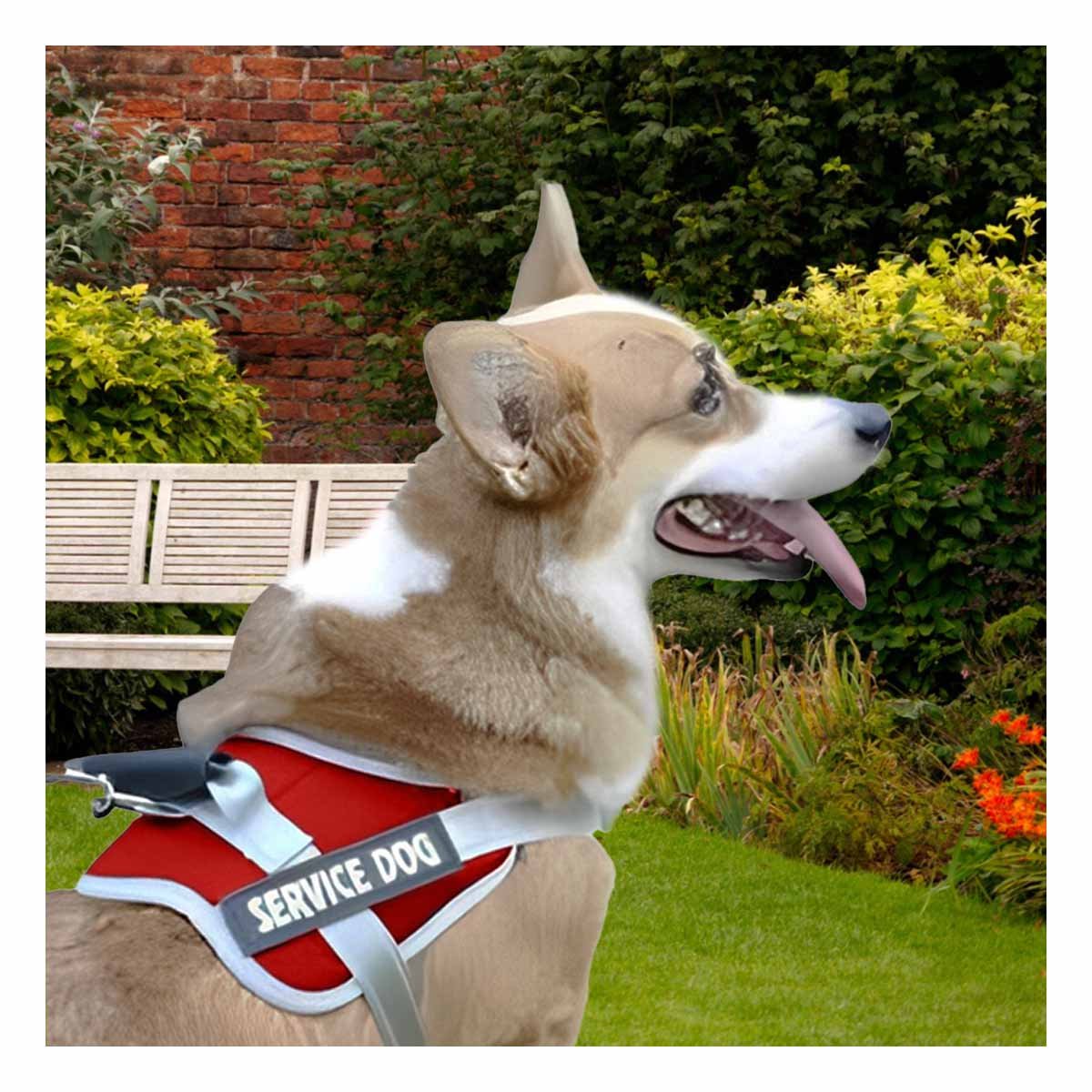 CHALECO CON ASA DE AGARRE SUPERIOR PARA PERRO SERVICE DOG TALLA M ROJO - 1