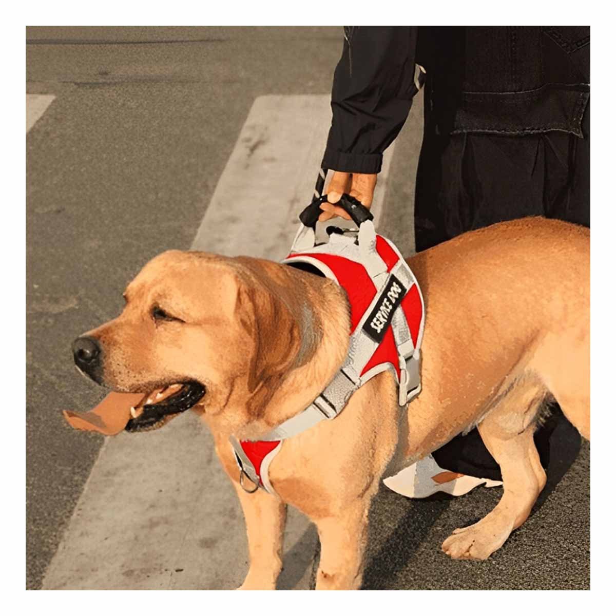 CHALECO CON ASA DE AGARRE SUPERIOR PARA PERRO SERVICE DOG TALLA M ROJO - 2