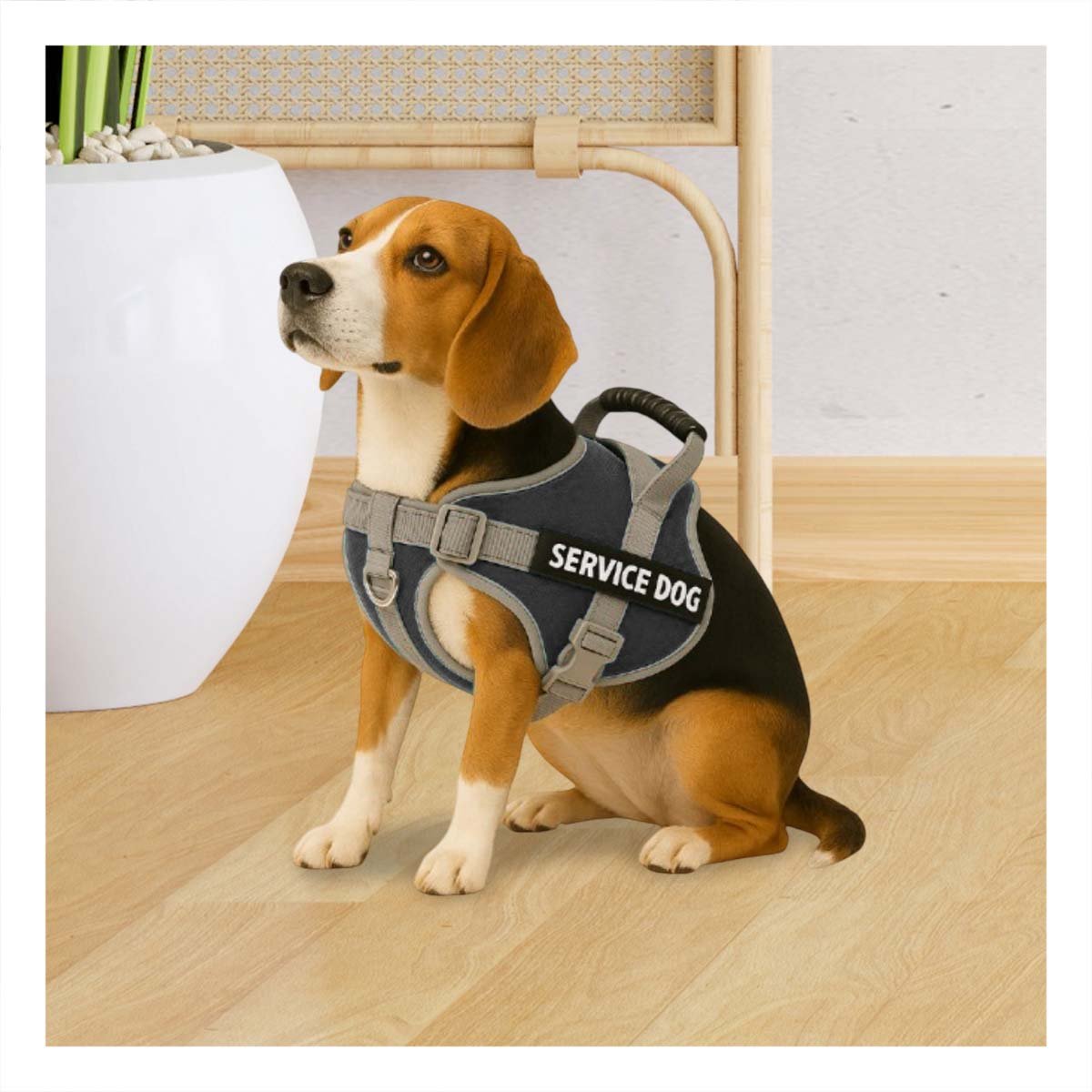 PACK6 HARNESS AJUSTABLE CON ASA DE SEGURIDAD PARA PERRO SERVICE DOG TALLA M NEGRO - 3
