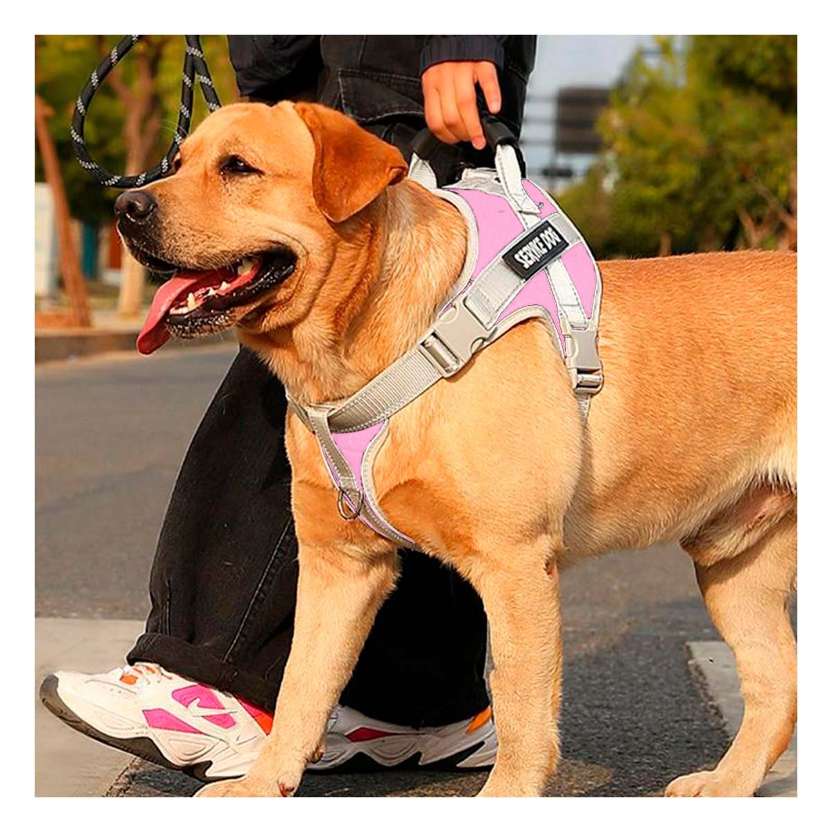 CHALECO CON ASA AJUSTABLE PARA PERRO SERVICE DOG TALLA M ROSADO CLARO Y+POST IT - 2