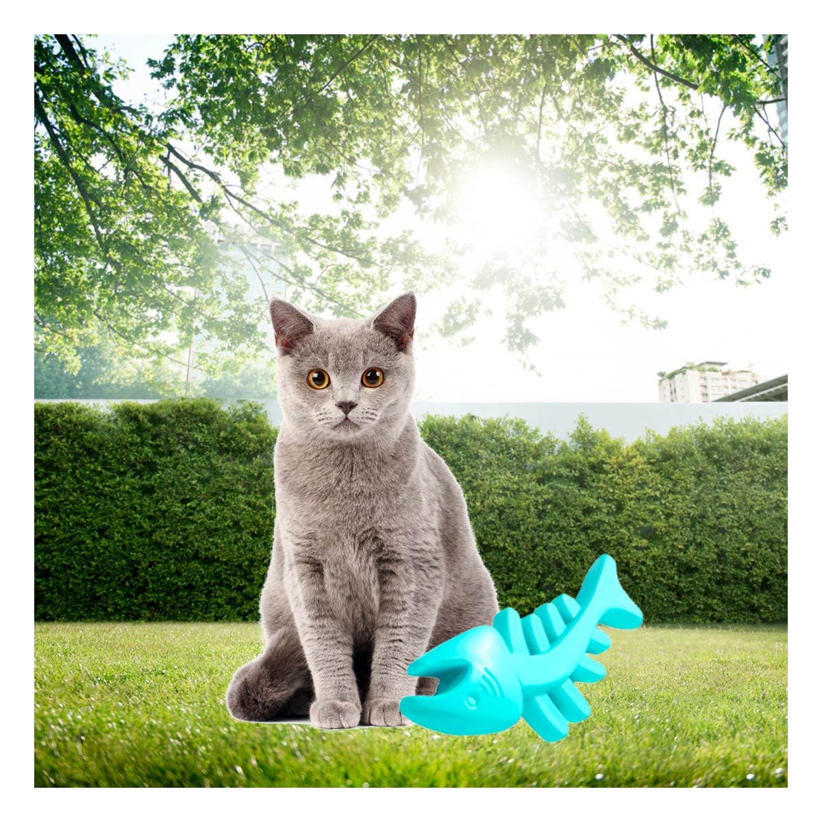 PACK4 JUGUETE MODERNO EN FORMA DE PESCADO DE GOMA EN VERDE AGUA SEGURA Y+PAPEL REGALO - 2