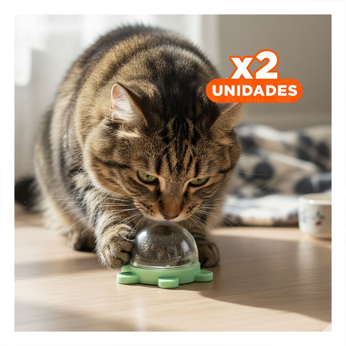 PACK2 BOLA PLASTICO DE TORTUGA GIRATORIO CON HIERBA GATERA Y VERDE Y+REGALO STICKER - 1