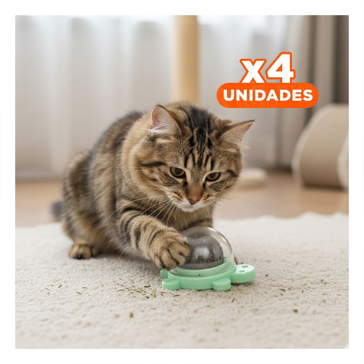 PACK4 BOLA DE HIERBA GATERA VERDE Y PLASTICO GIRATORIO DE TORTUGA PARA MASCOTAS - 1