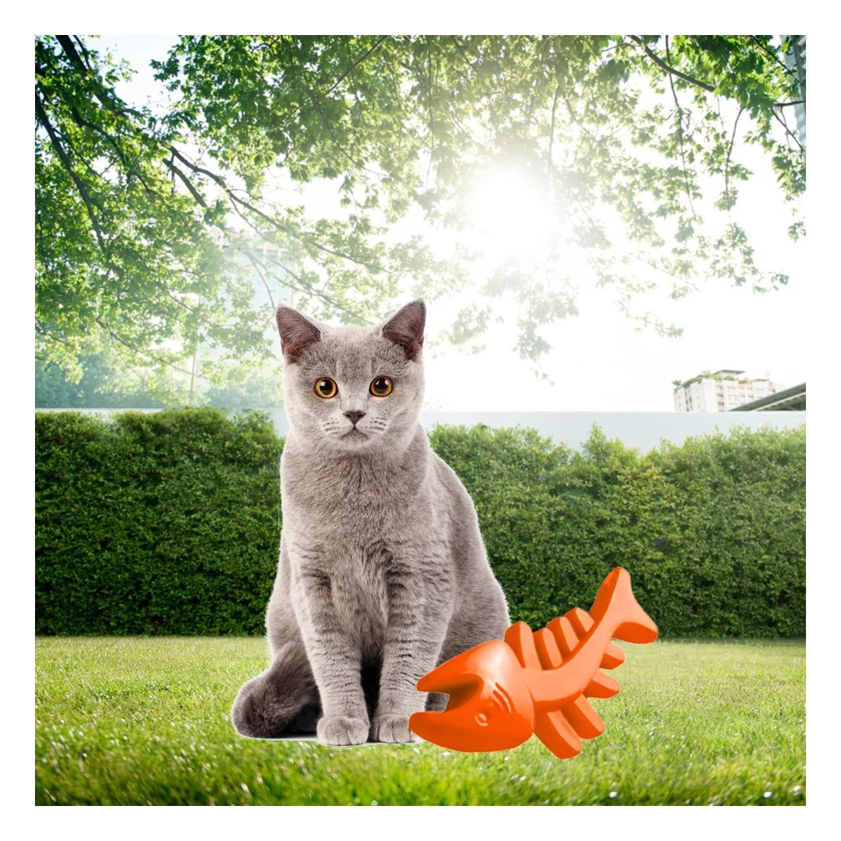 PACK2 JUGUETE COMODO EN FORMA DE PESCADO DE GOMA EN NARANJA INTERACTIVO Y+REGALO STICKER - 3