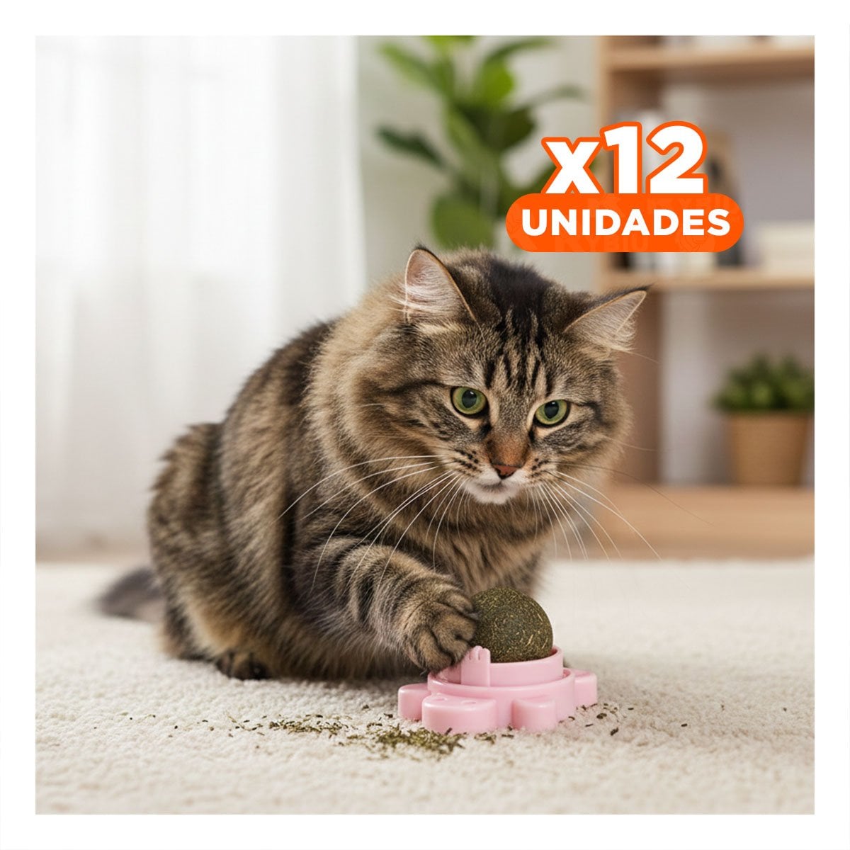 PACK12 ESFERA PLASTICO ROSADO DE HIERBA GATERA GIRATORIO DE TORTUGA PARA USO DIARIO - 1