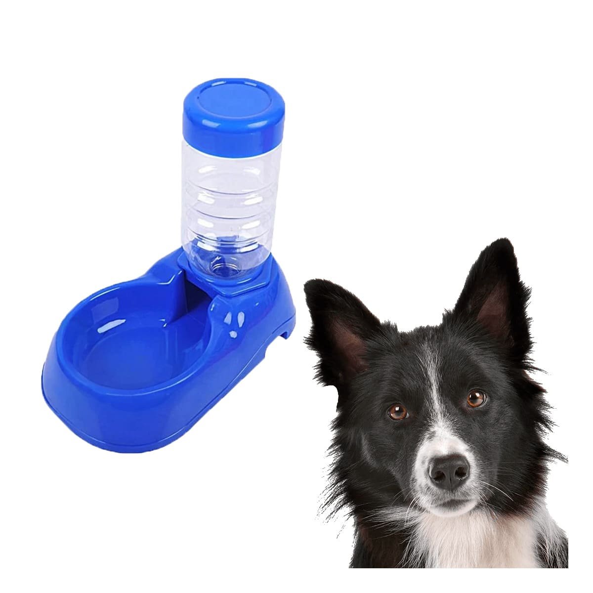 PACK6 RECIPIENTE DE AGUA AZUL PARA MASCOTA PRACTICO Y RESISTENTE Y SEGURO Y+REGALO STICKER - 2