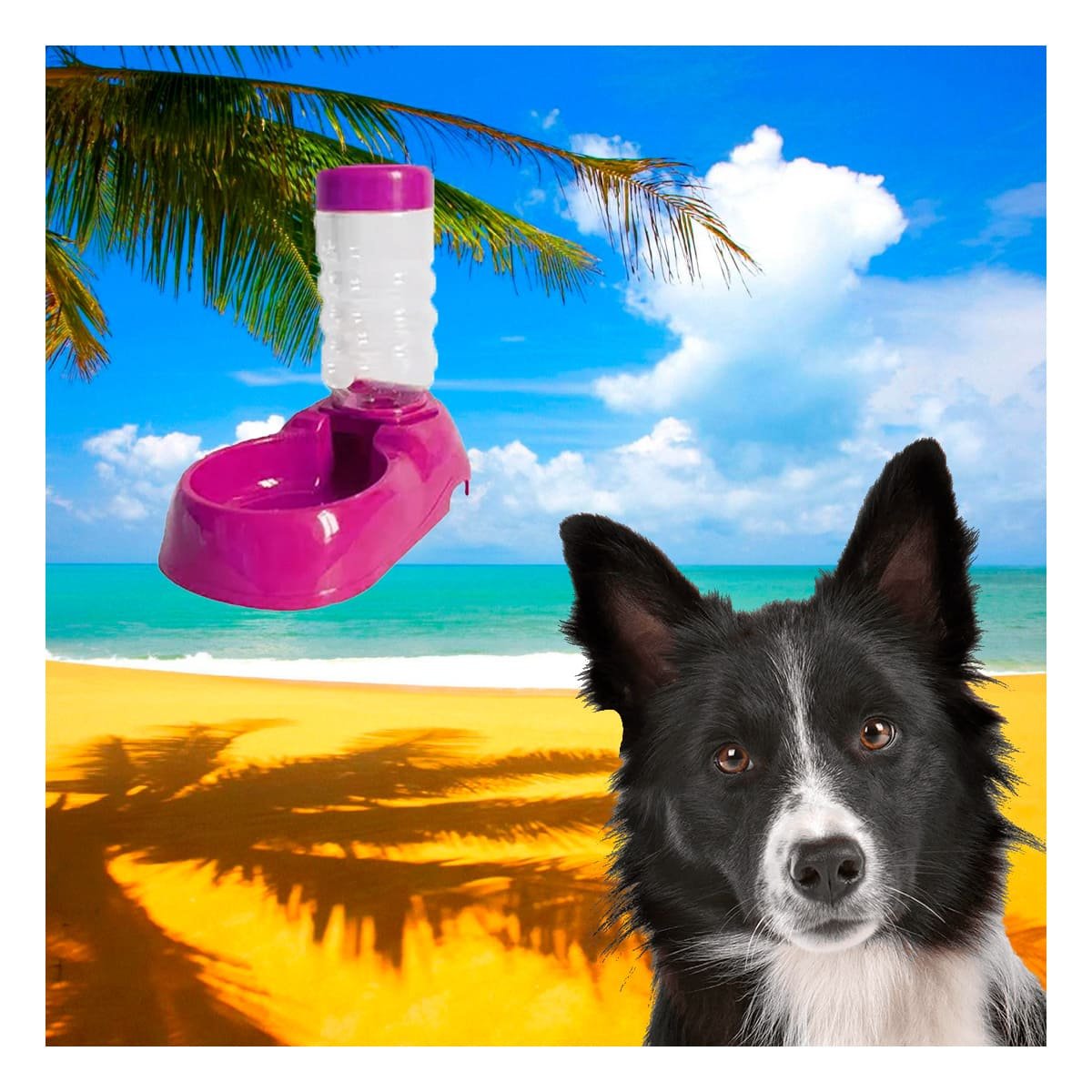 PACK12 RECIPIENTE DE AGUA ROSADO PARA MASCOTA COMODO Y PRACTICO Y RESISTENTE Y+PAPEL REGALO - 3