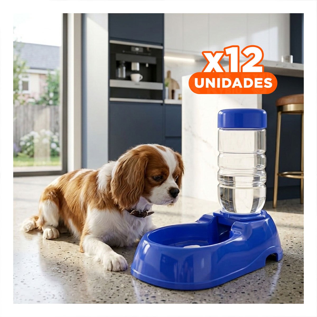 PACK12 RECIPIENTE DE AGUA PARA MASCOTA AZUL DURABLE Y ESTABLE Y FIRME - 1