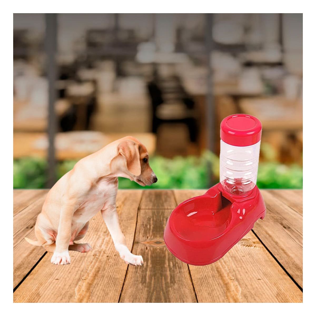 PACK2 FUENTE DE AGUA PARA MASCOTA ROJO DE ALTA CALIDAD Y FIRME Y+REGALO STICKER - 5