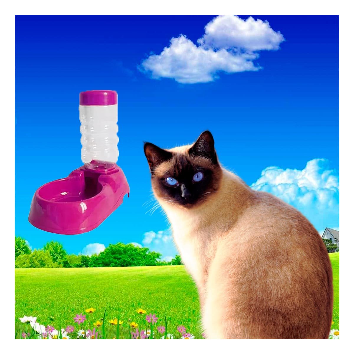 PACK6 RECIPIENTE DE AGUA ROSADO PARA MASCOTA PRACTICO Y RESISTENTE Y SEGURO Y+REGALO STICKER - 3