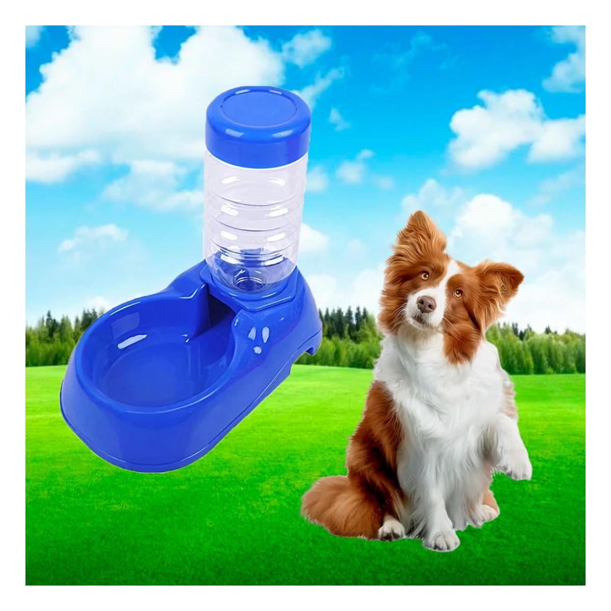 PACK6 MODULO DE AGUA AZUL PARA MASCOTA SEGURO Y ESTABLE Y DURABLE - 5