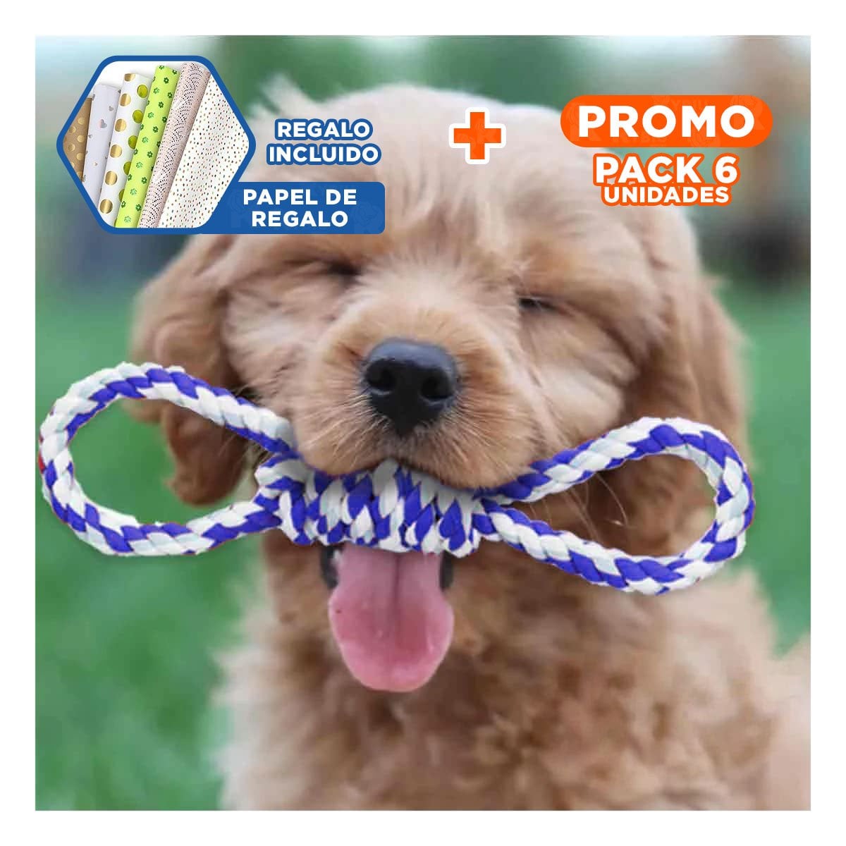 PACK6 LAZO DE ALGODON PARA MASCOTA AZUL 4 NUDOS FIRME Y DE CALIDAD Y+PAPEL REGALO - 1