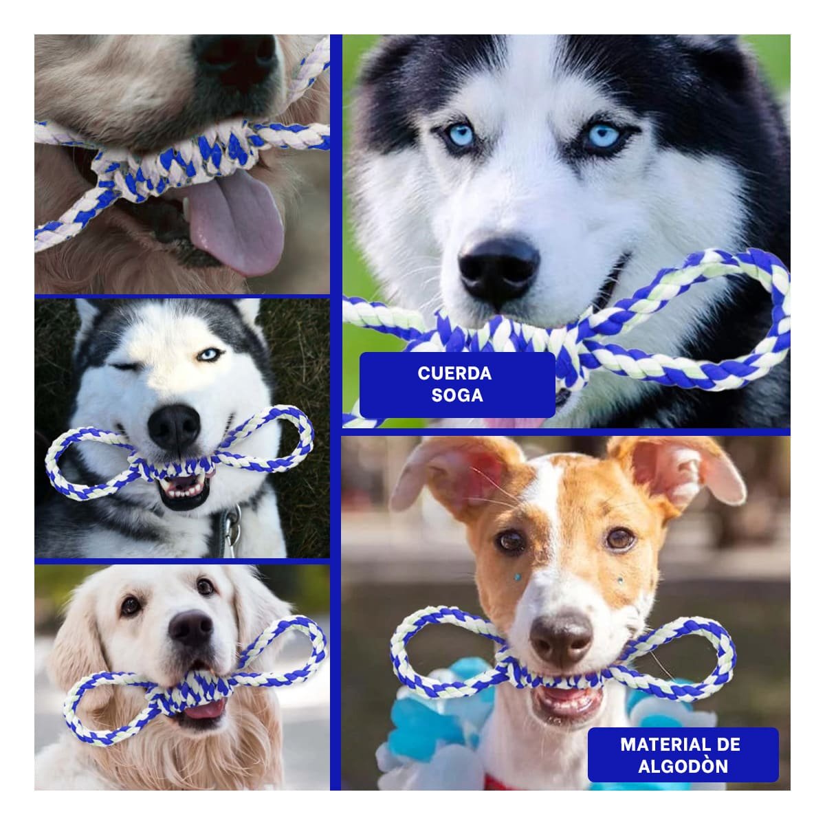 PACK6 LAZO DE ALGODON PARA MASCOTA AZUL 4 NUDOS FIRME Y DE CALIDAD Y+PAPEL REGALO - 3