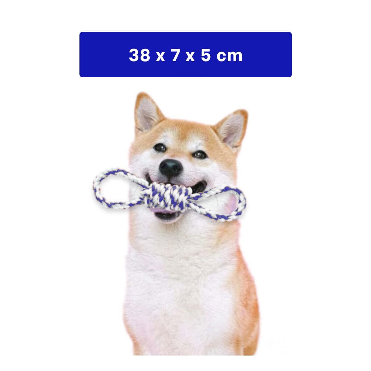 PACK6 LAZO DE ALGODON PARA MASCOTA AZUL 4 NUDOS FIRME Y DE CALIDAD Y+PAPEL REGALO - 4
