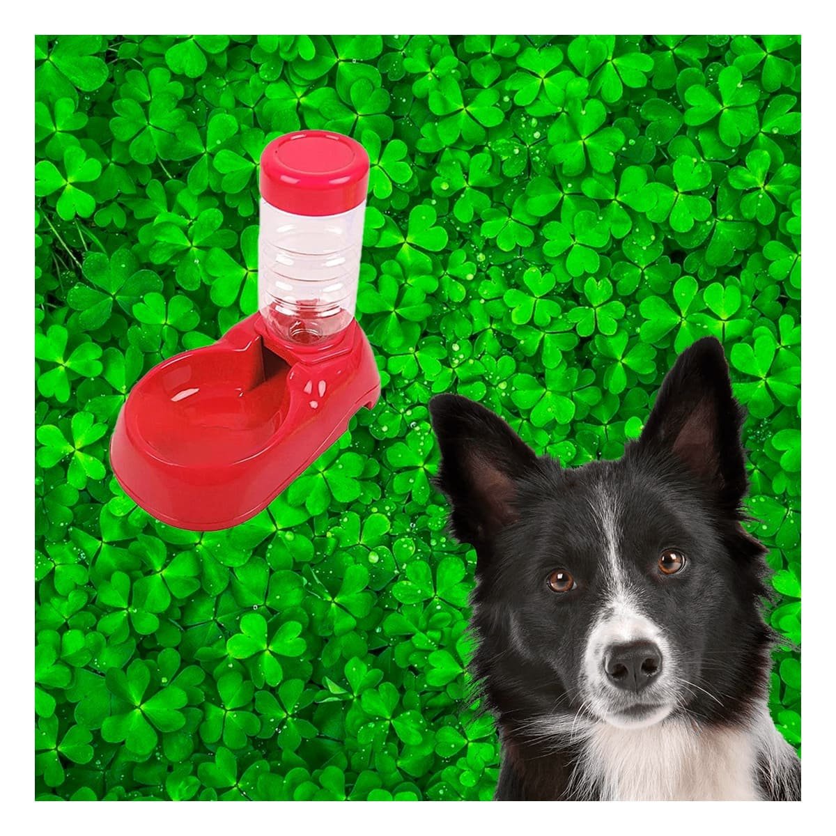 PACK2 FUENTE DE AGUA ROJO PARA MASCOTA COMODA Y PRACTICA Y RESISTENTE - 3