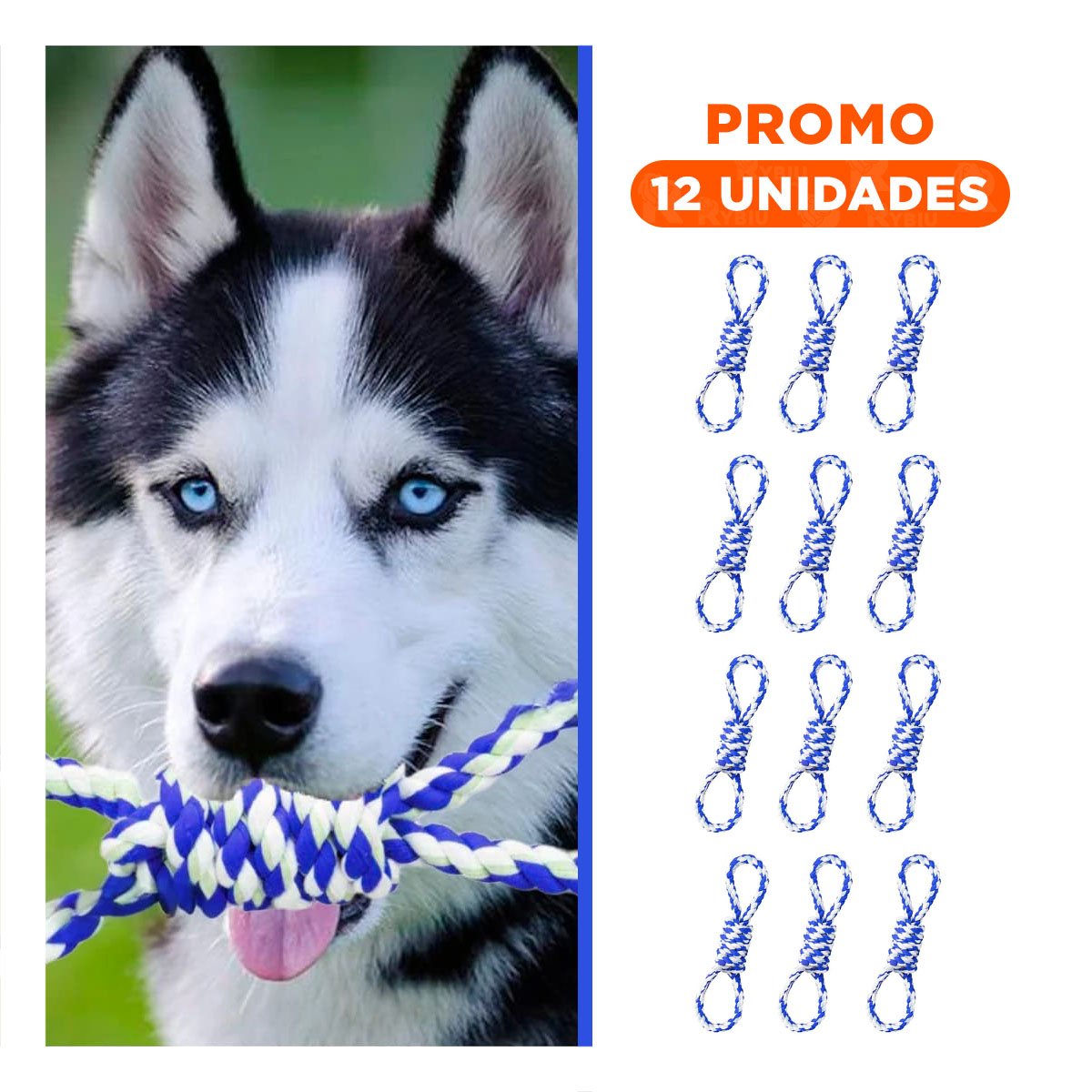PACK12 OBJETO DE JUEGO AZUL PARA MASCOTA 4 NUDOS REFORZADO Y RESISTENTE Y+REGALO STICKER - 1