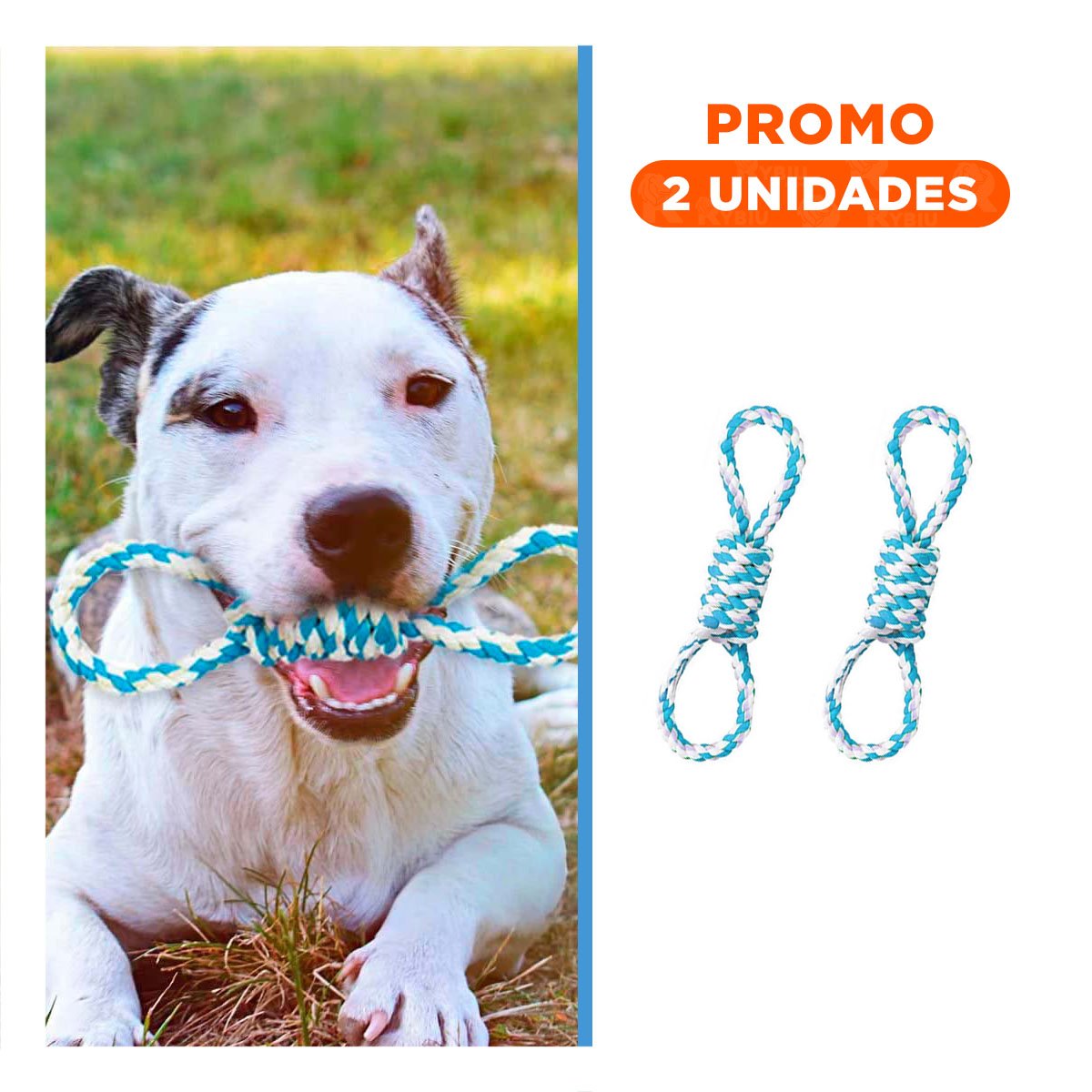 PACK2 JUGUETE TRENZADO CELESTE CON 4 NUDOS PARA MASCOTA DURADERO Y COMODO - 1