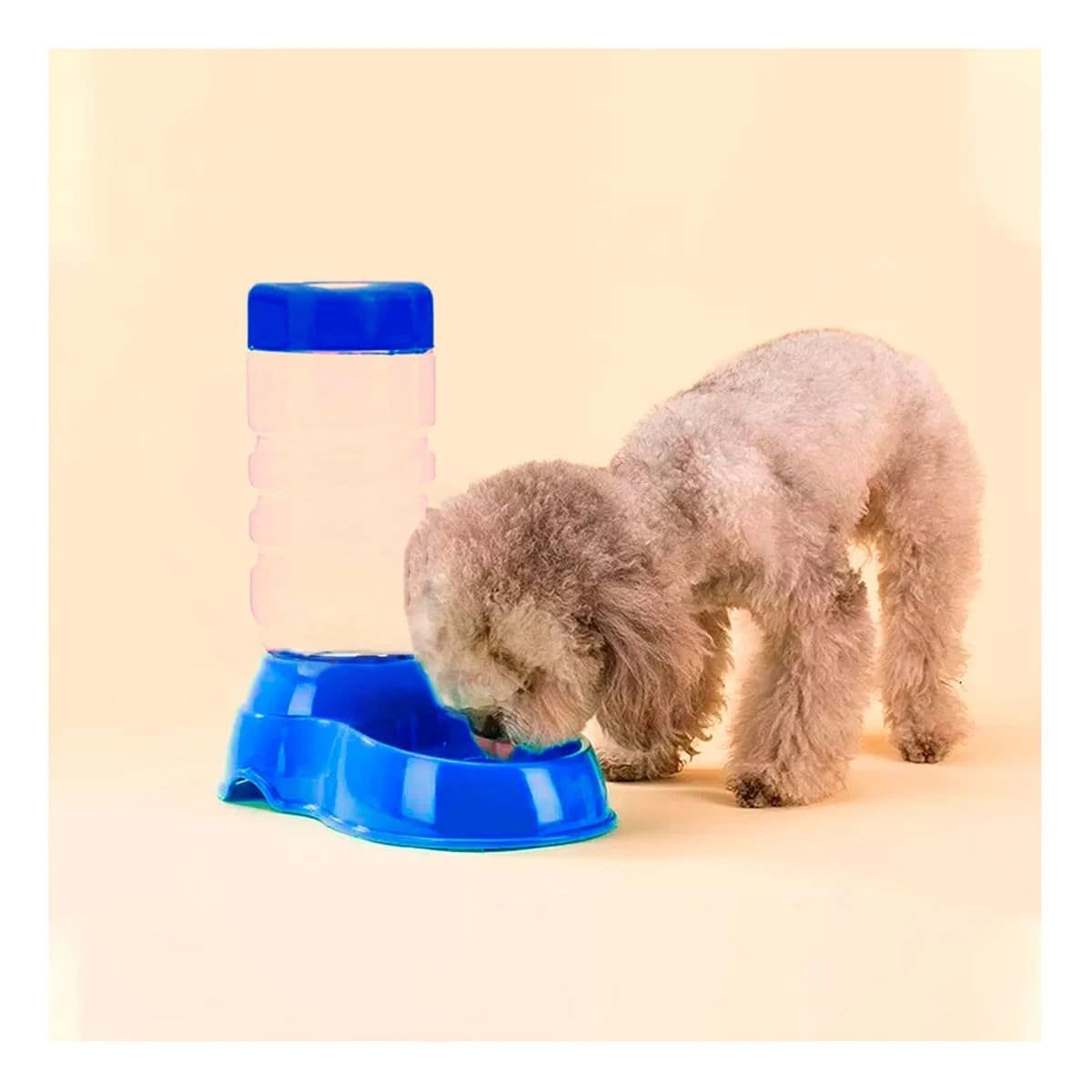 PACK12 RECIPIENTE DE AGUA AZUL PARA MASCOTA SEGURO Y ESTABLE Y DURABLE Y+REGALO STICKER - 5