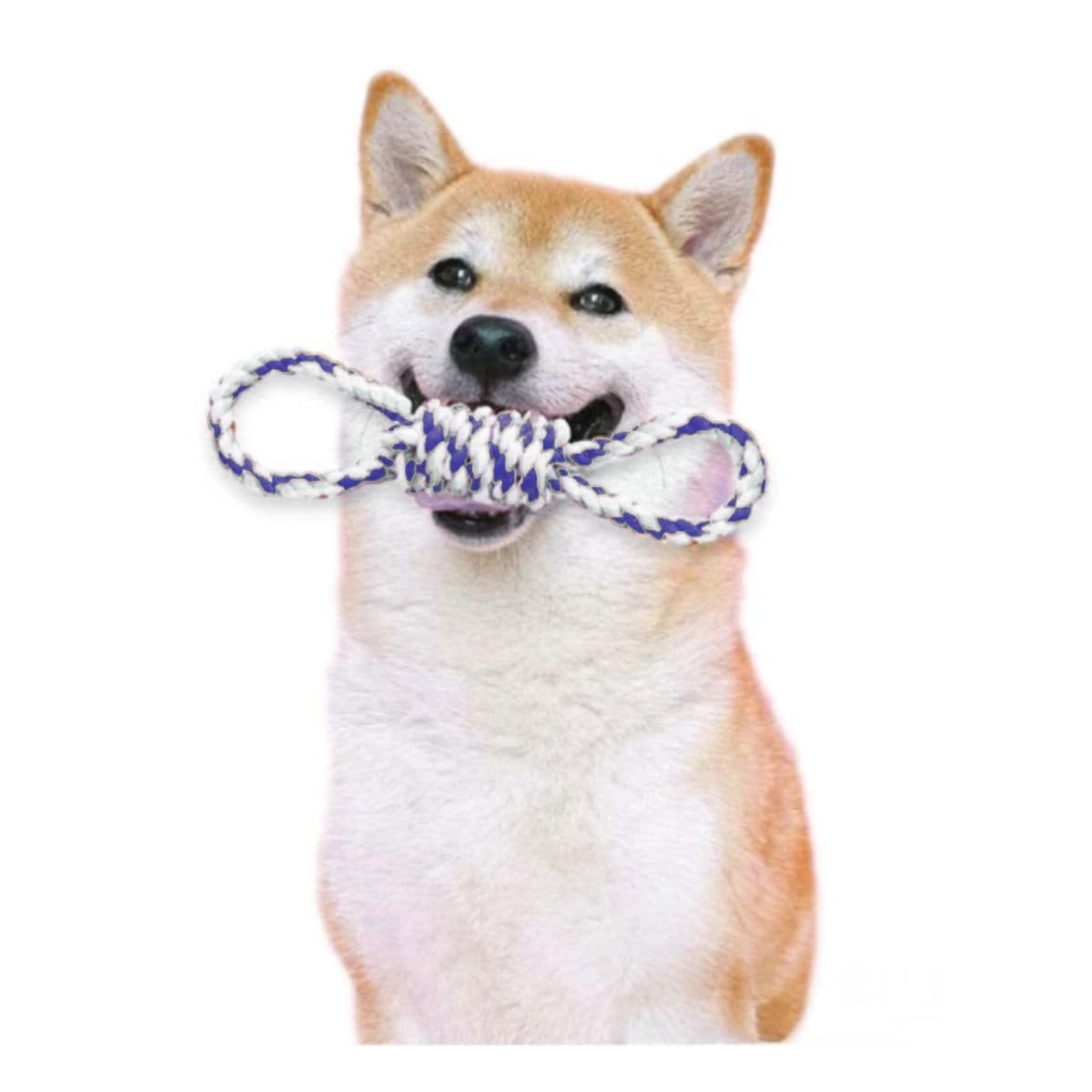 PACK6 OBJETO DE JUEGO AZUL PARA MASCOTA CON 4 NUDOS RESISTENTE Y FUERTE Y+REGALO STICKER - 2