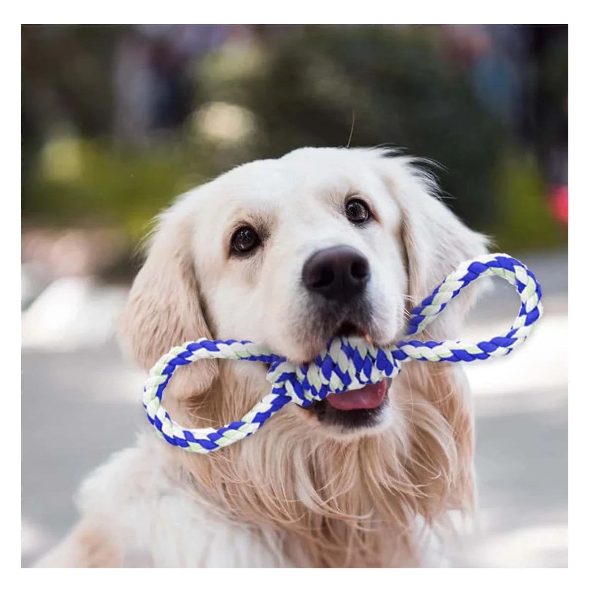 PACK6 OBJETO DE JUEGO AZUL PARA MASCOTA CON 4 NUDOS RESISTENTE Y FUERTE Y+REGALO STICKER - 5