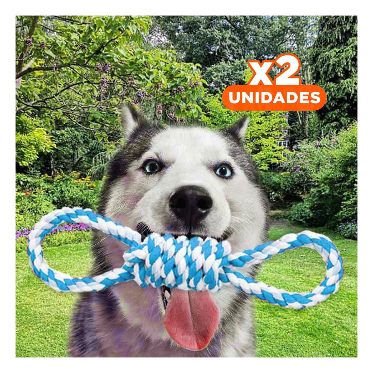 PACK2 JUGUETE TRENZADO PARA MASCOTA CELESTE 4 NUDOS FIRME Y DE CALIDAD Y+REGALO STICKER - 1
