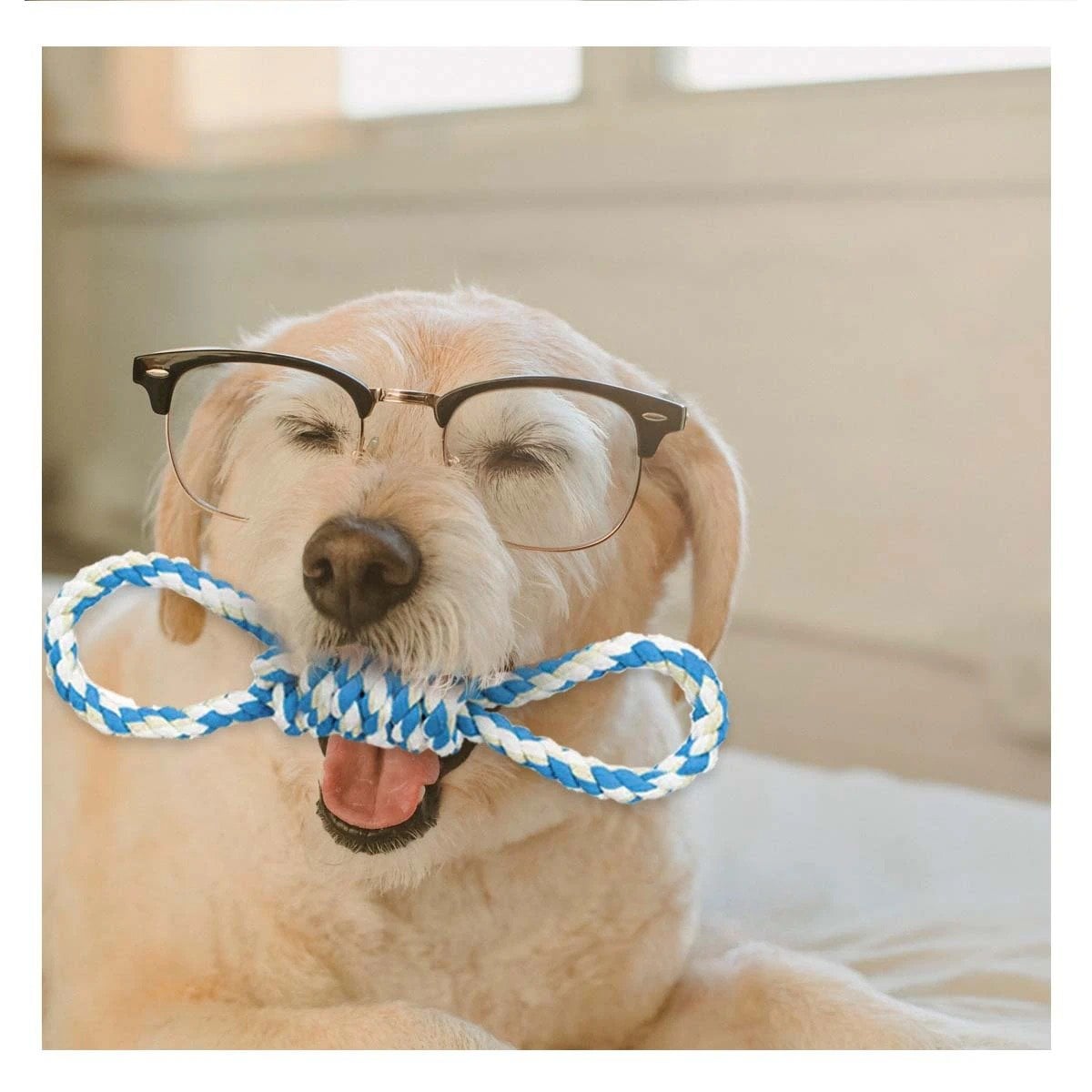 PACK2 JUGUETE TRENZADO PARA MASCOTA CELESTE 4 NUDOS FIRME Y DE CALIDAD Y+REGALO STICKER - 3