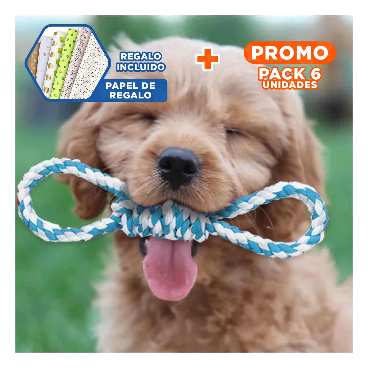PACK6 LAZO DE ALGODON PARA MASCOTA CELESTE 4 NUDOS FIRME Y DE CALIDAD Y+PAPEL REGALO - 1