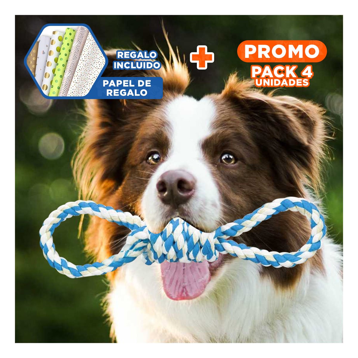 PACK4 LAZO DE ALGODON PARA MASCOTA CELESTE CON 4 NUDOS DURADERO Y SEGURO Y+PAPEL REGALO - 1