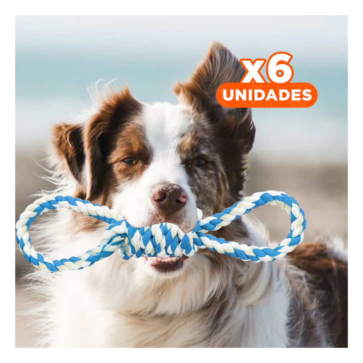 PACK6 OBJETO DE JUEGO CELESTE PARA MASCOTA CON 4 NUDOS RESISTENTE Y FUERTE Y+REGALO STICKER - 1
