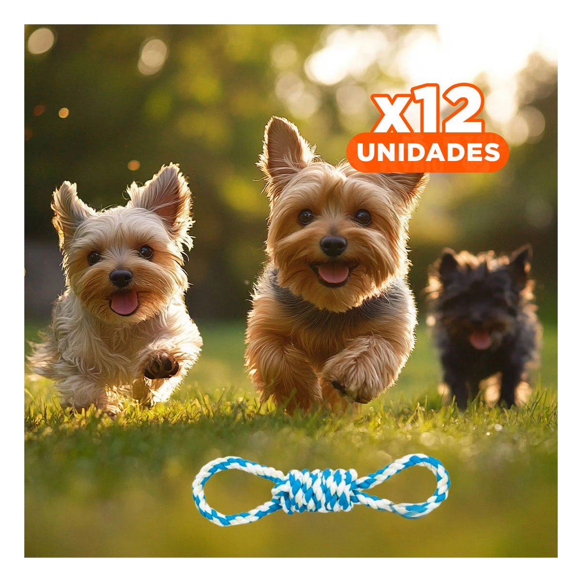 PACK12 OBJETO DE JUEGO PARA MASCOTA CELESTE CON 4 NUDOS FIRME Y SEGURO - 1