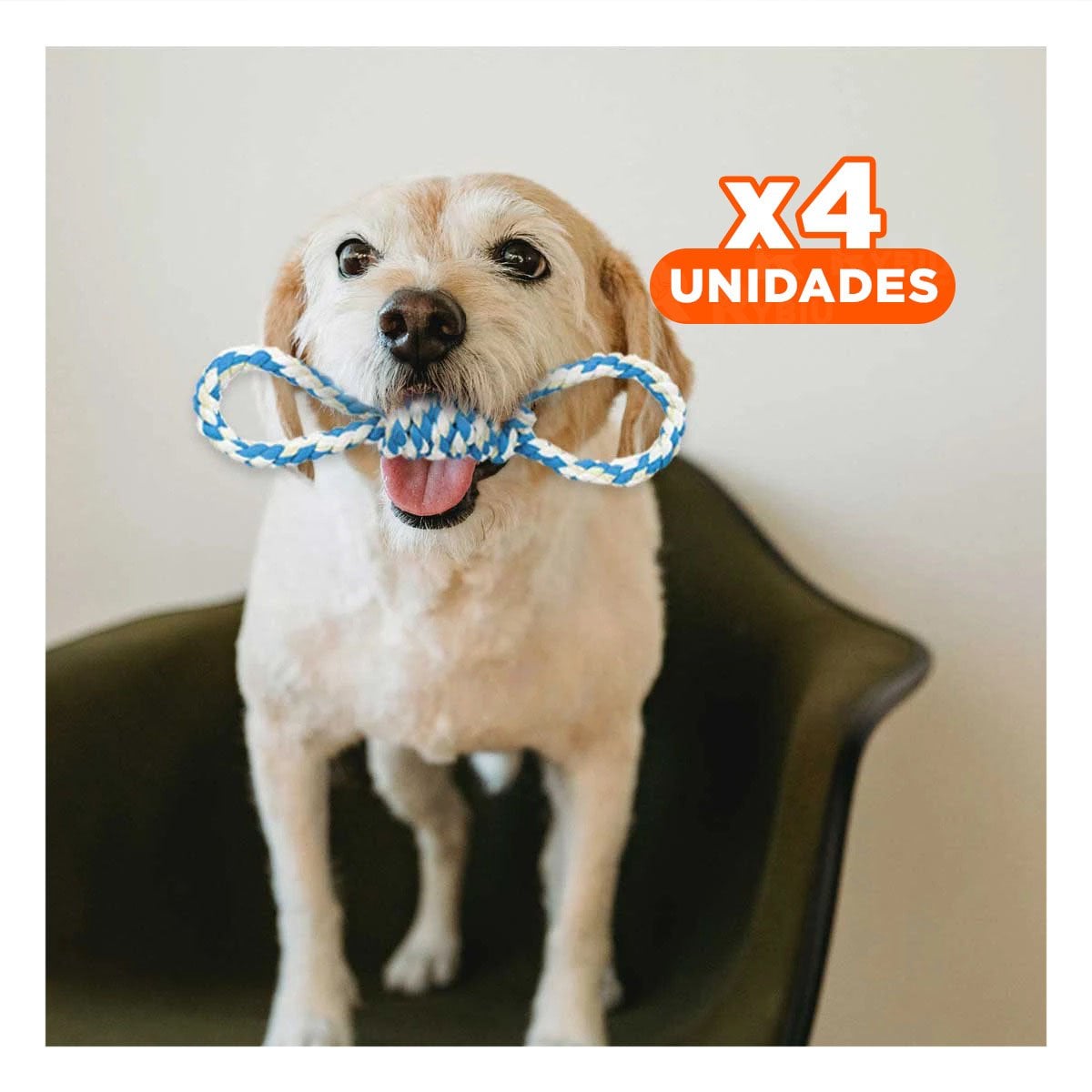 PACK4 LAZO DE ALGODON CELESTE PARA MASCOTA CON 4 NUDOS RESISTENTE Y FIRME - 1