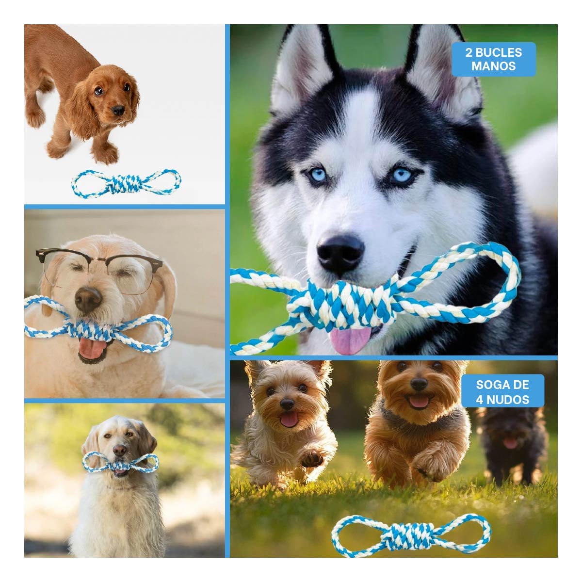 PACK12 OBJETO DE JUEGO CELESTE CON 4 NUDOS PARA MASCOTA DURADERO Y COMODO Y+PAPEL REGALO - 2