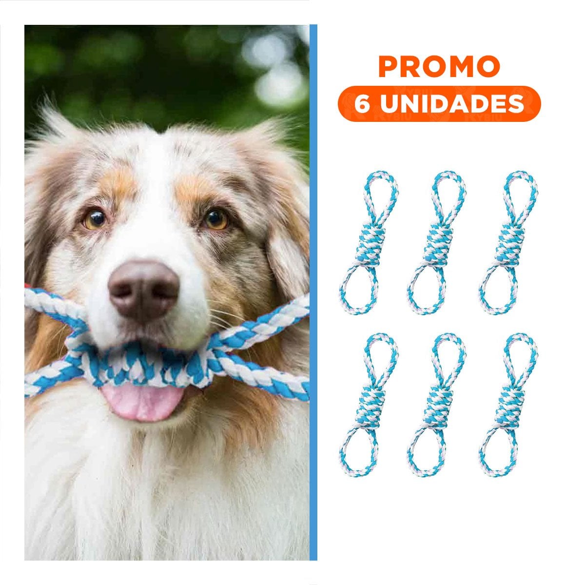PACK6 LAZO DE ALGODON CELESTE PARA MASCOTA 4 NUDOS REFORZADO Y RESISTENTE - 1
