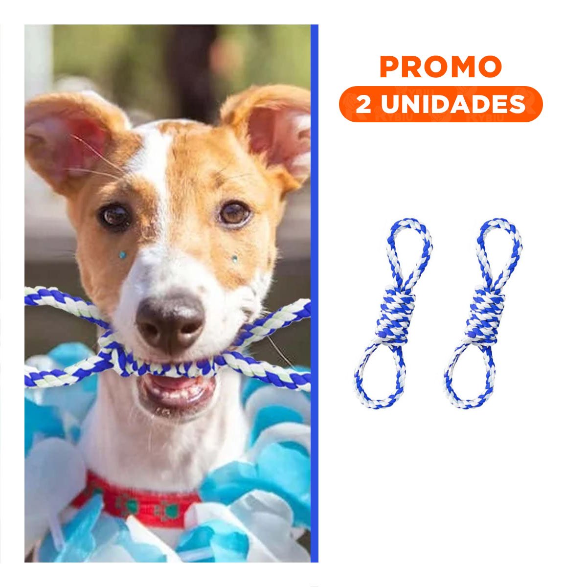 PACK2 JUGUETE TRENZADO AZUL CON 4 NUDOS PARA MASCOTA DURADERO Y COMODO - 1