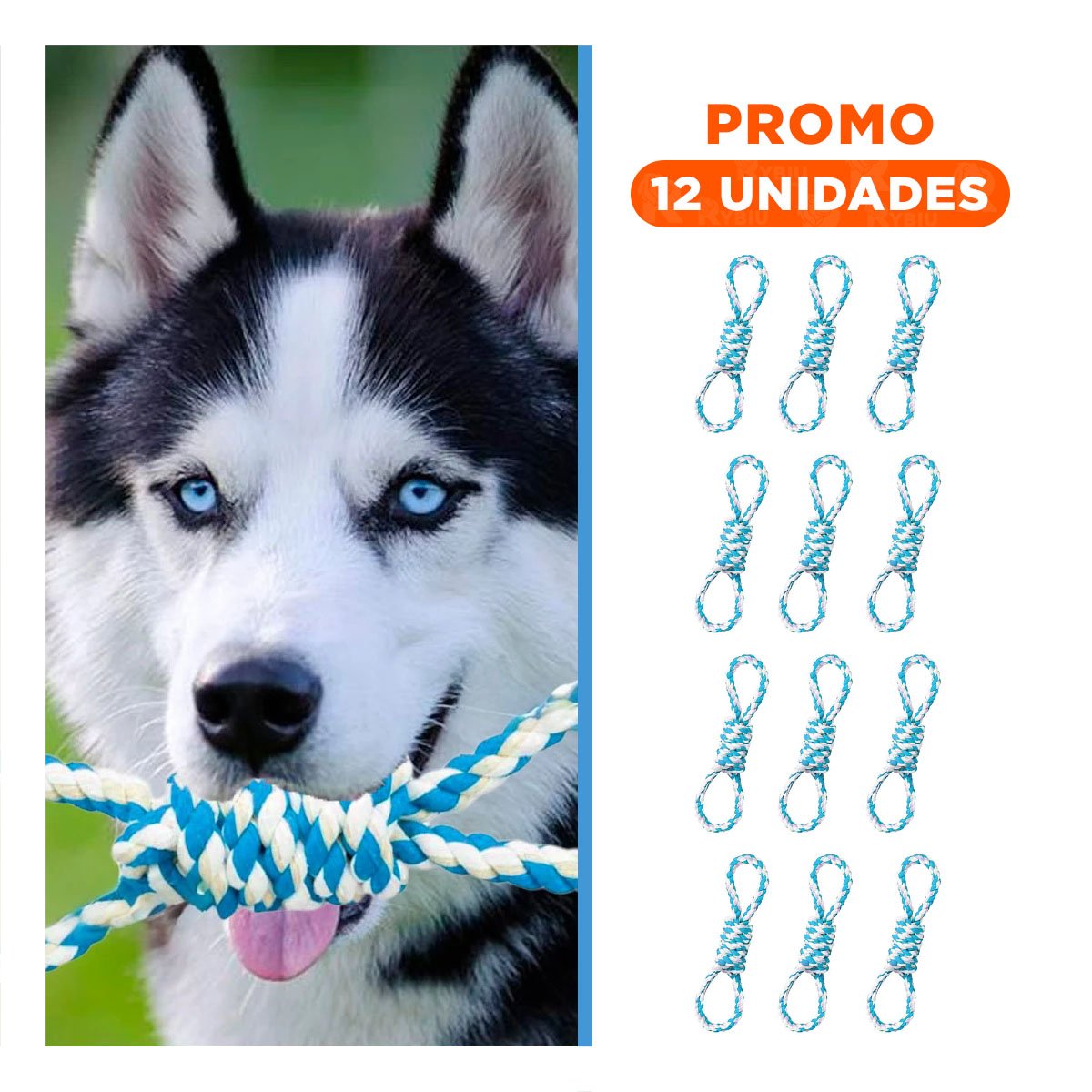 PACK12 OBJETO DE JUEGO CELESTE PARA MASCOTA 4 NUDOS REFORZADO Y RESISTENTE Y+REGALO STICKER - 1
