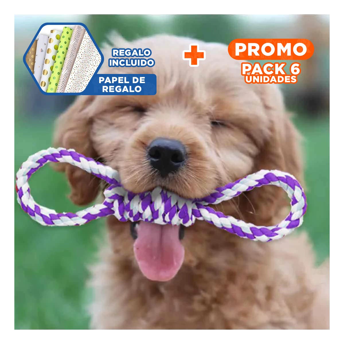 PACK6 LAZO DE ALGODON PARA MASCOTA MORADO 4 NUDOS FIRME Y DE CALIDAD Y+PAPEL REGALO - 1